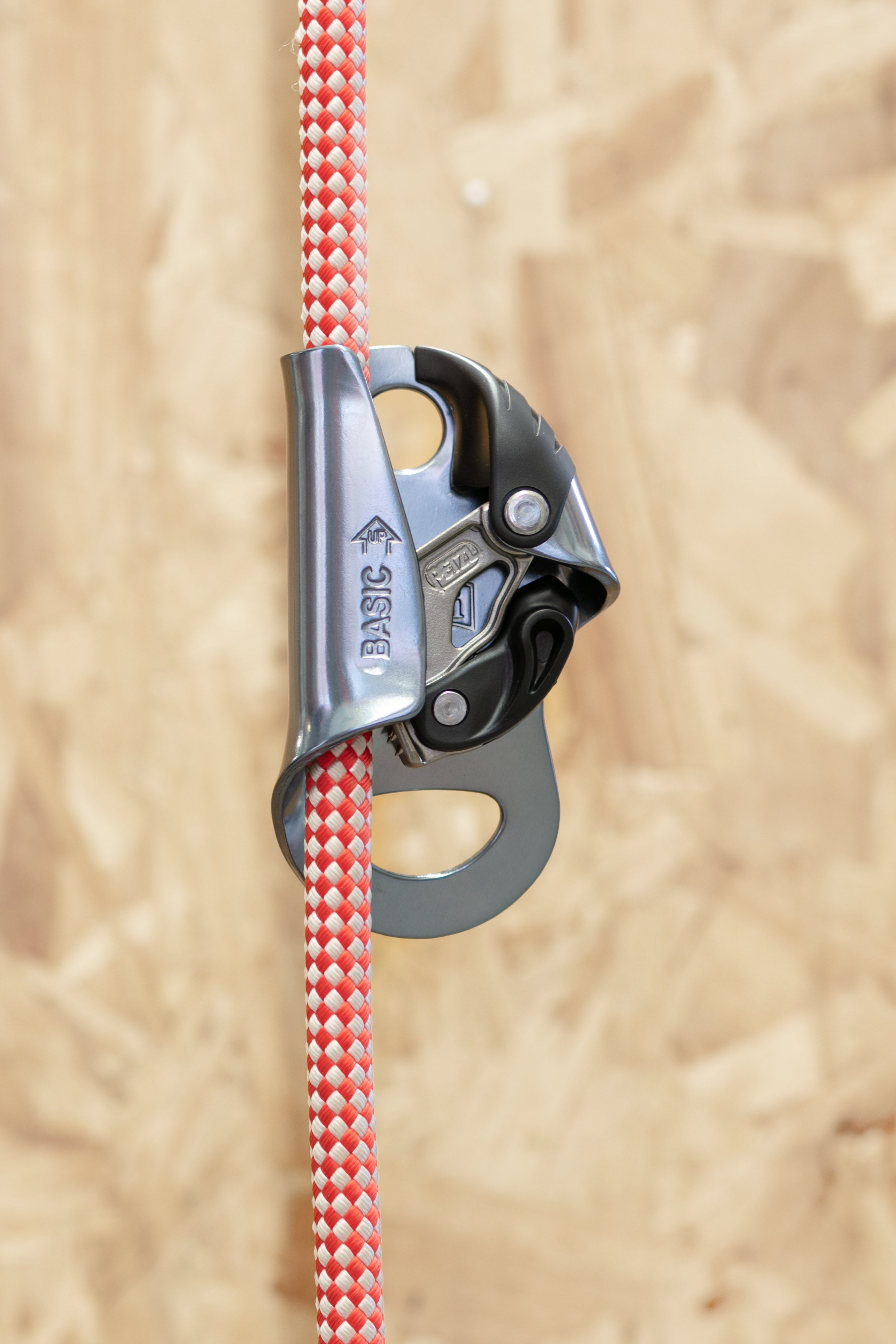 Petzl 2024 USA Ascension-Ascender