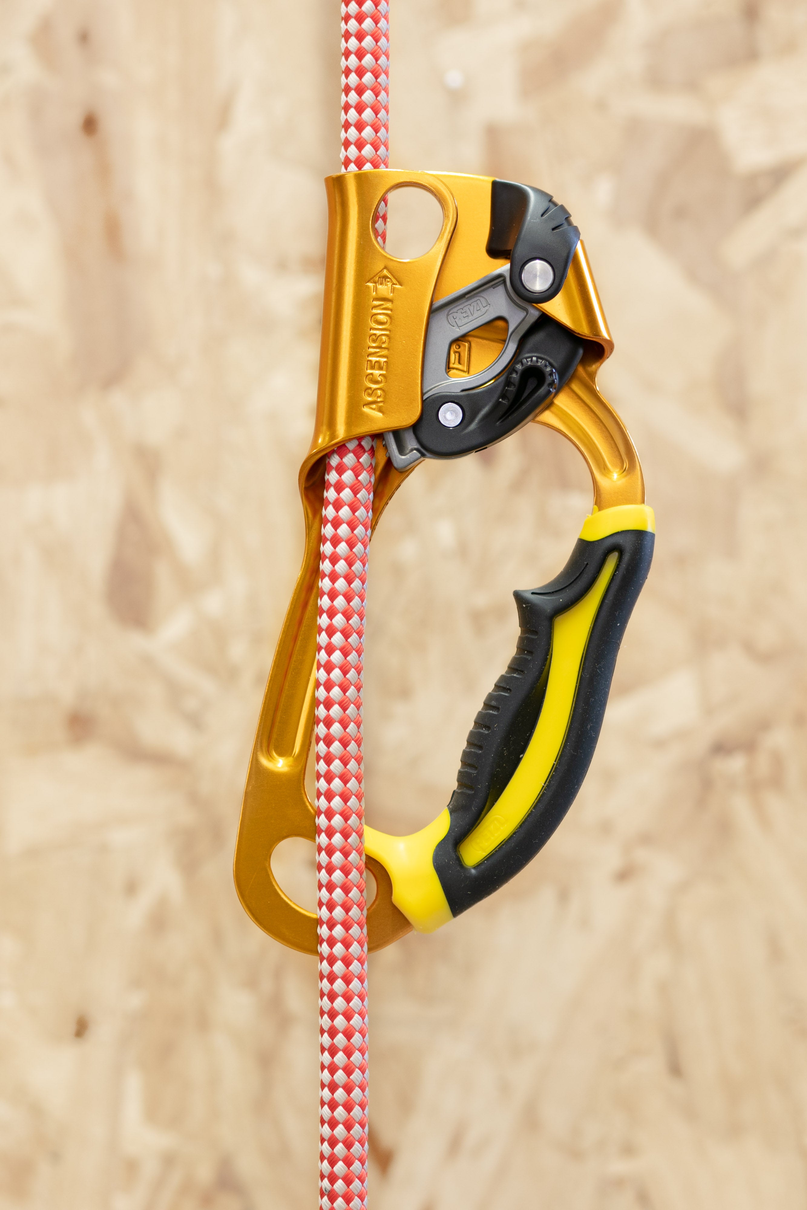 Petzl USA hotsell Ascension-Ascender